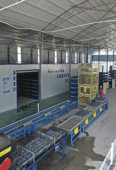 全自動預(yù)制件生產(chǎn)線設(shè)備/預(yù)制件整廠自動化生產(chǎn)